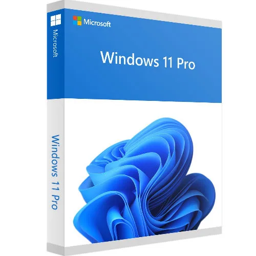 Windows 11 Pro Lisansı