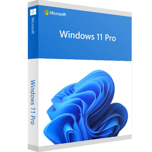 Windows 11 Pro Lisansı